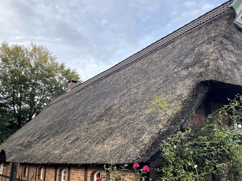 Reetgedecktes Wohnhaus, Region Oldenburg — Bild 1 (overview_secondary)