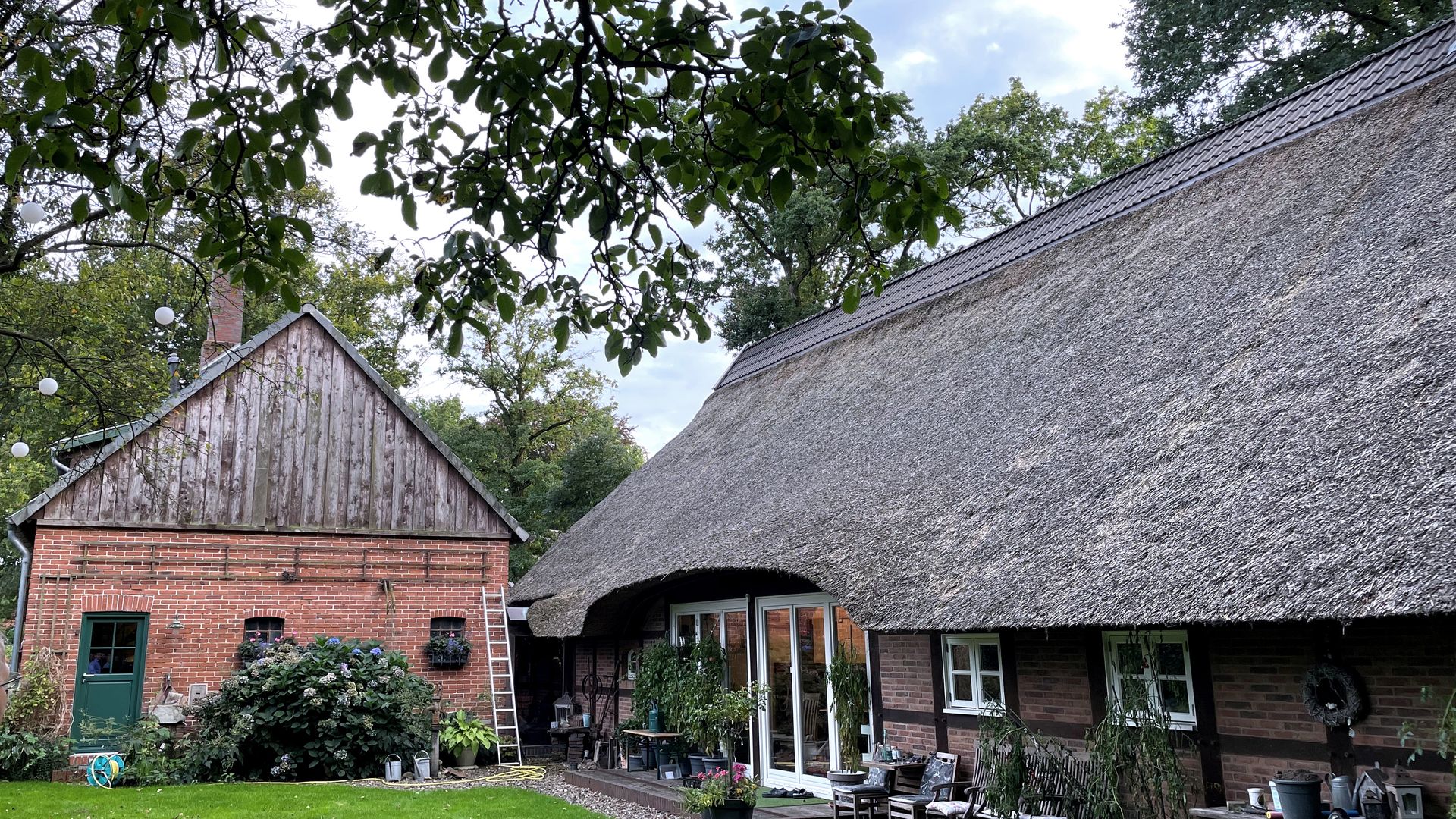 Projektansicht: Reetgedecktes Wohnhaus, Region Oldenburg